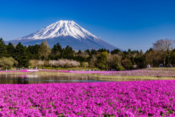 アトピー性皮膚炎【春の対策】